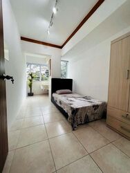 Pine Grove (D21), Condominium #526289631